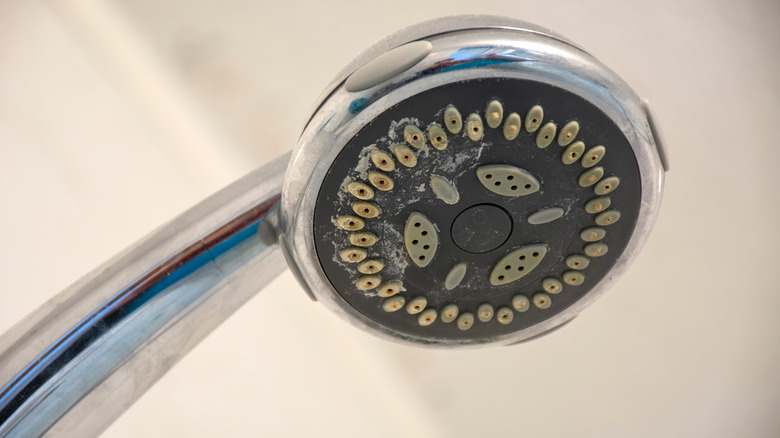 The Easiest Way To Clean A Showerhead Without Removing It - Small Stuff  Counts