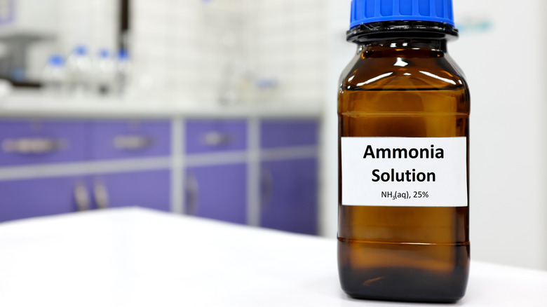 ammonia bottle  in lab