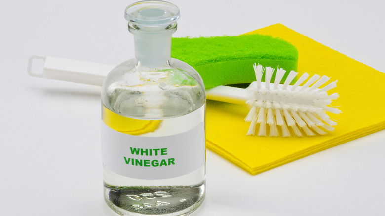 white vinegar in a glass bottle 