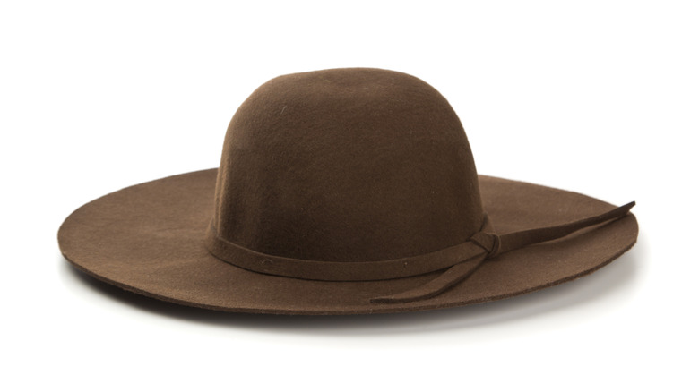 Brown wide brimmed felt hat