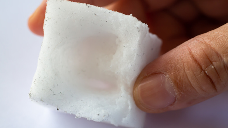 person holding melamine sponge