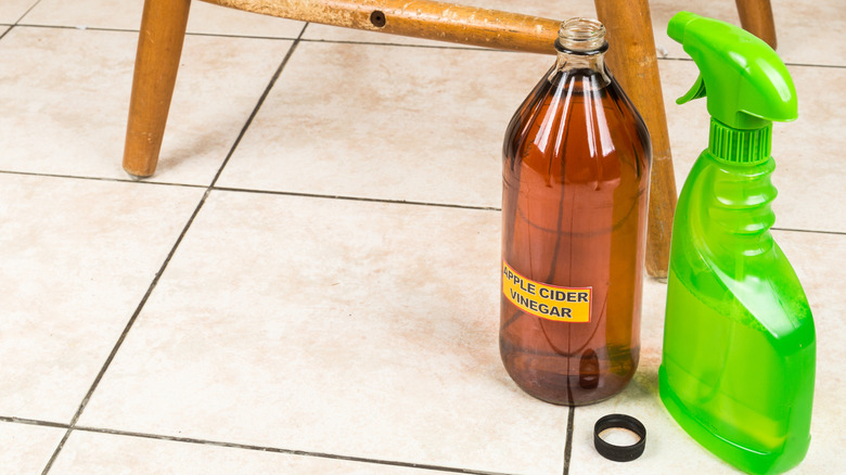 Apple cider vinegar next to a spray bottle