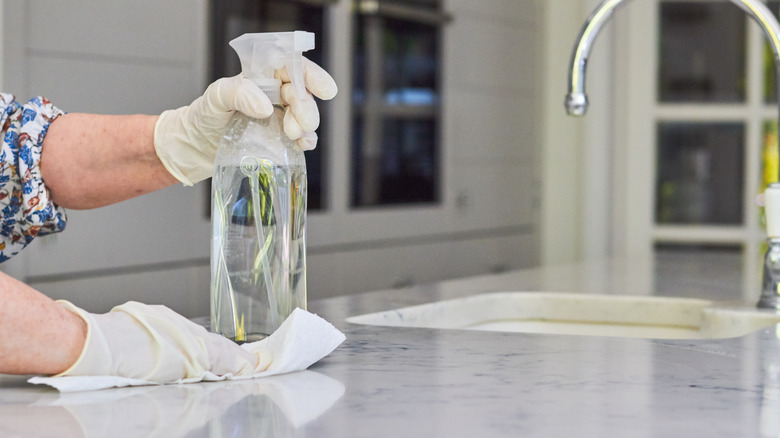 Person cleaning countertop