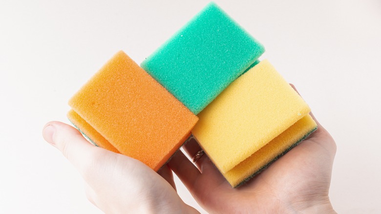 Man holding sponges 