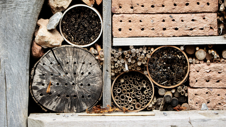 materials with holes for bug hotel