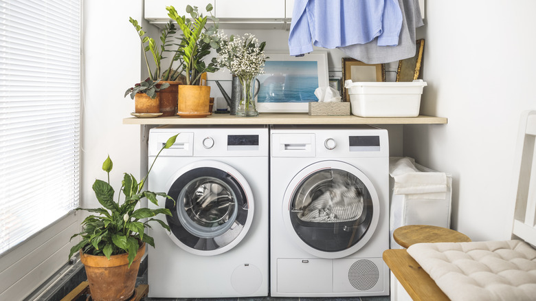 A washer and dyer in a white laundry room with potted plants around