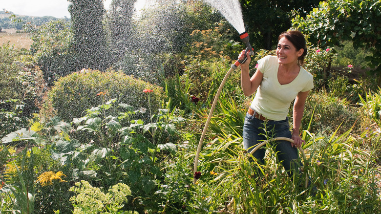 woman watering shrubs