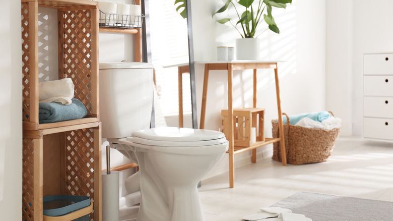 toilet surrounded by shelving units