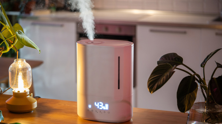 A room humidifier in operation sitting on a table