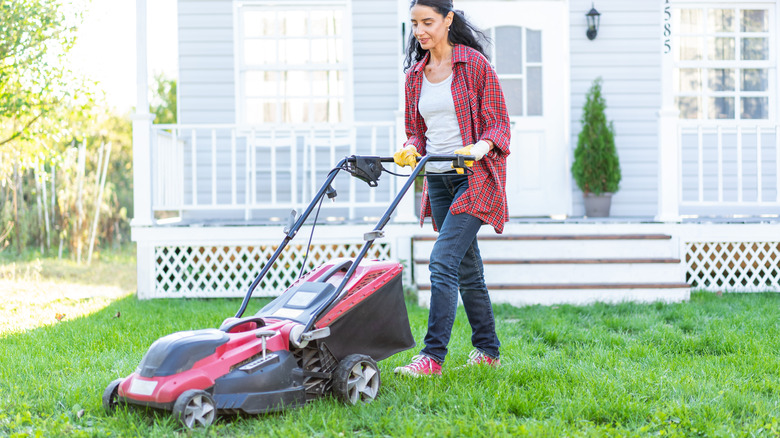 Person mowing a vibrant lawn