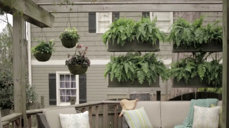 Hanging planters creating privacy for a deck made over by Dan Faires for HGTV