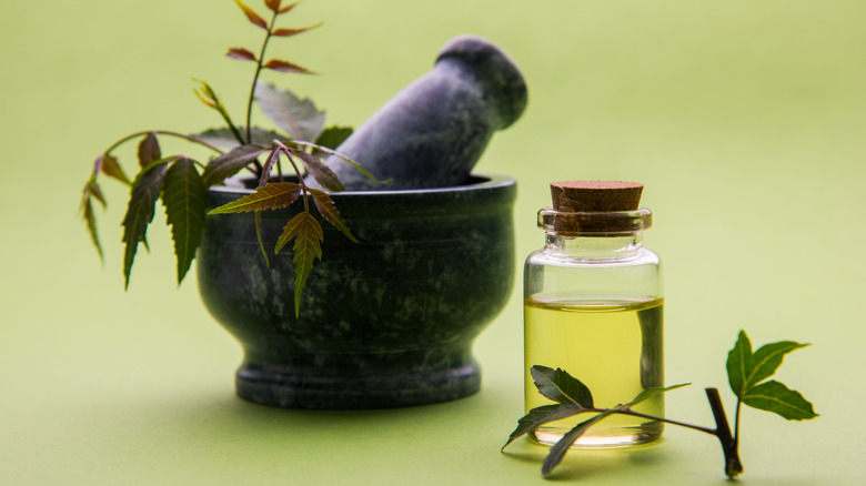 bottle of neem oil 