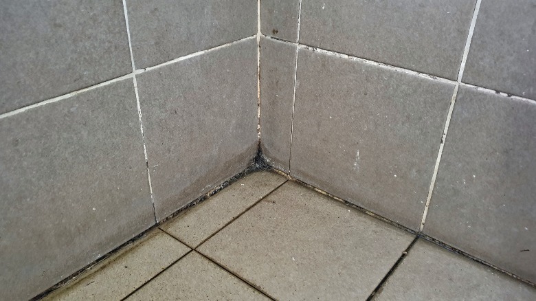 moldy shower grout, gray tiles