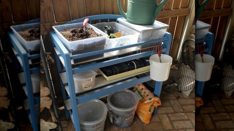 blue potting bench with supplies