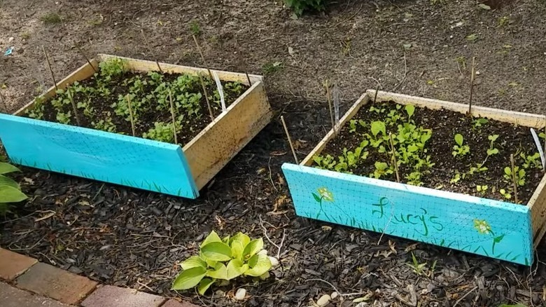 three blue drawer planter boxes