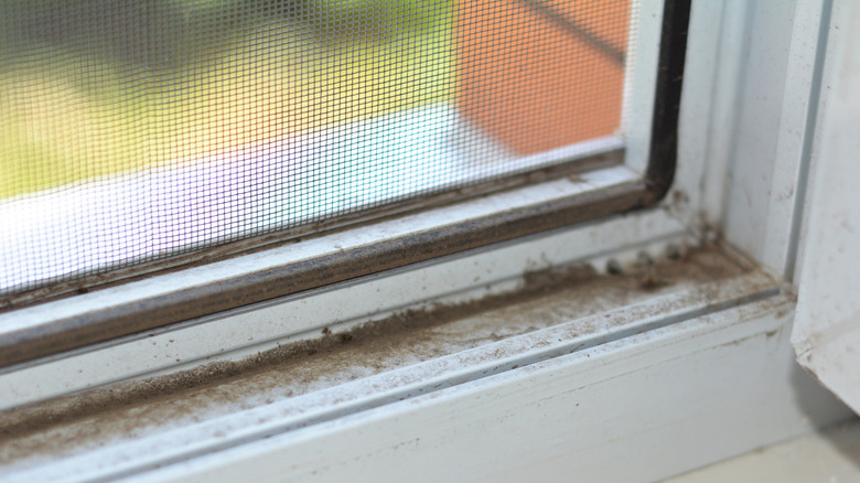 dusty window frame