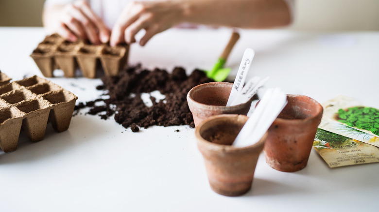 flower pots with plant markers