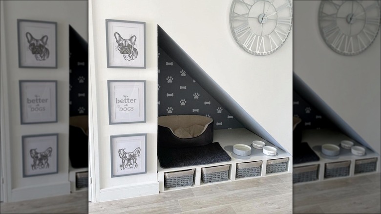 gray dog bed area