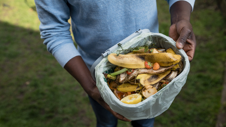 Person holding compost in tub