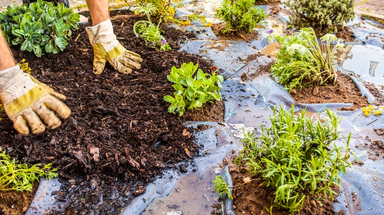 Weed fabric and mulch