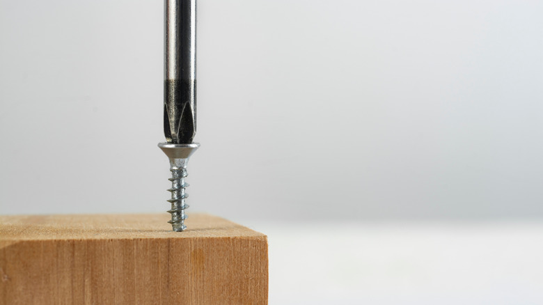 Closeup of a screwdriver screwing in a screw on a piece of wood