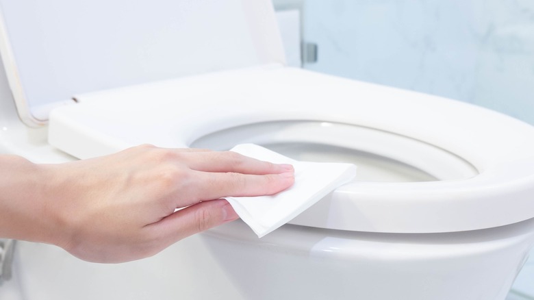 Woman cleaning the toilet