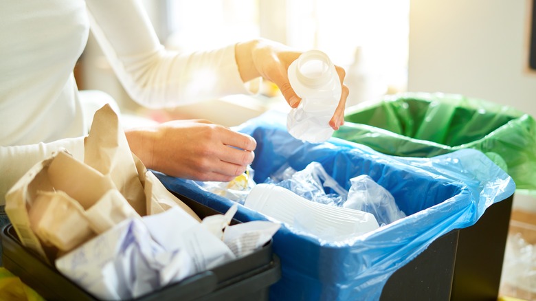 person sorting trash cans