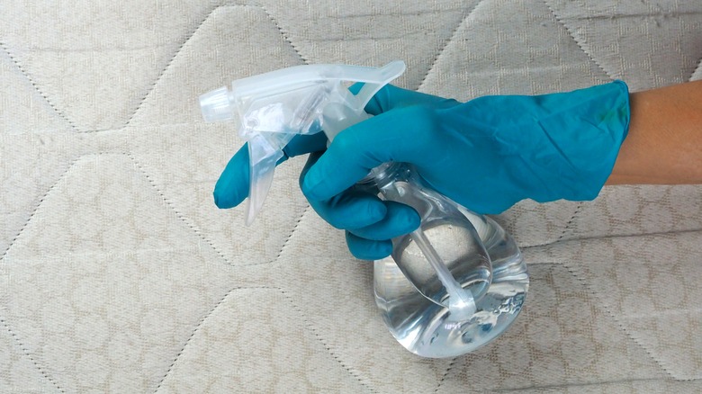 hand with cleaning spray bottle