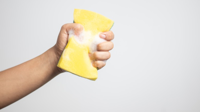 Hand holding a yellow sponge