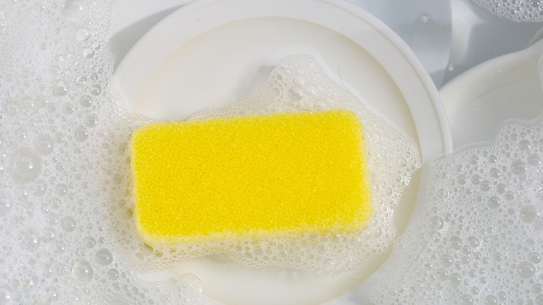 sponge in sudsy water