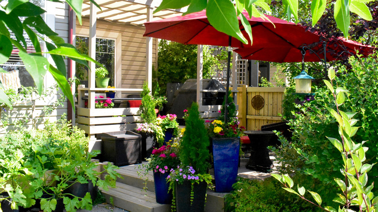 Landscaped back porch