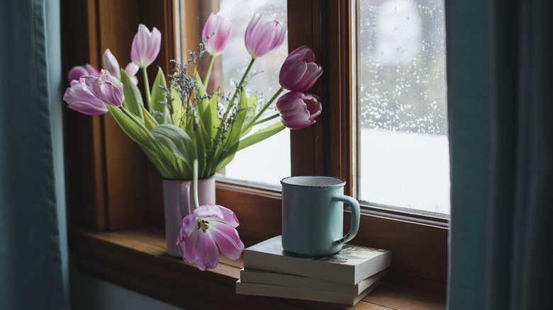 thriving tulips in vase