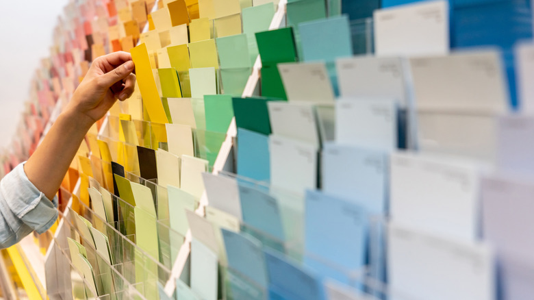 Person looking at paint samples in a store