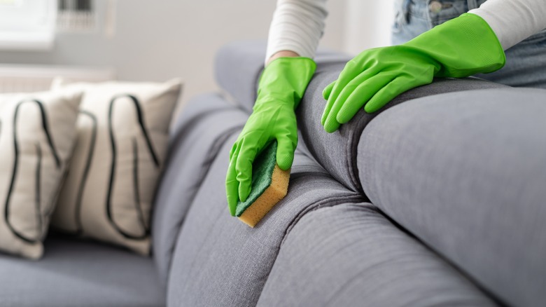 Using sponge to clean sofa