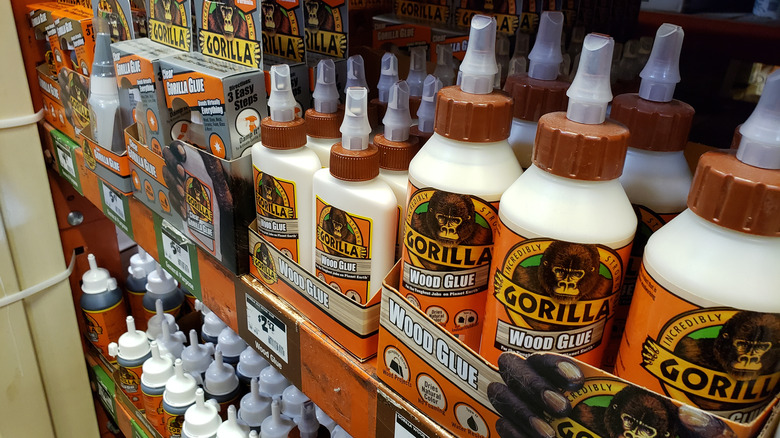 Wood glue bottles line shelves in a store