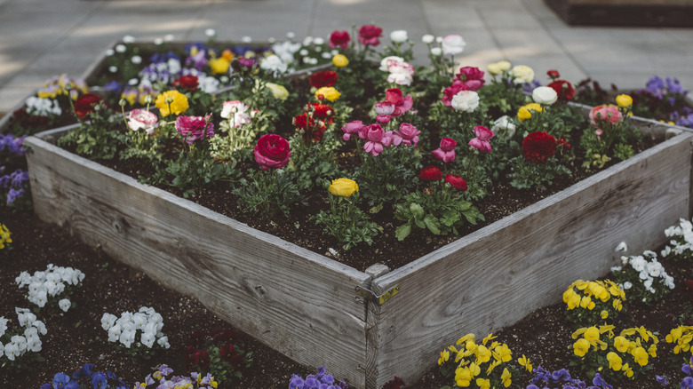 wooden raised garden bed with colorful flowers