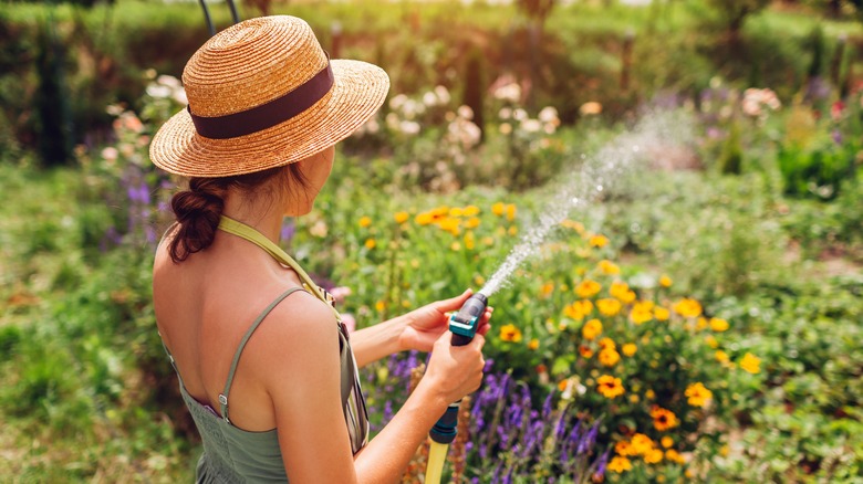 woman watering the garden with hose