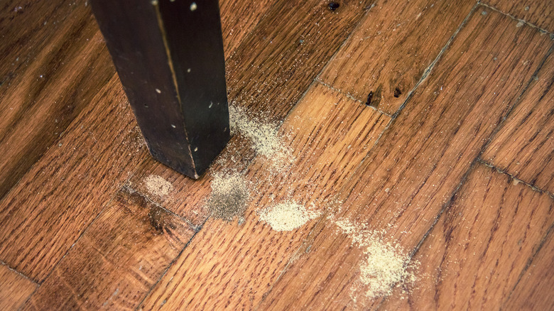 sawdust on wood floor