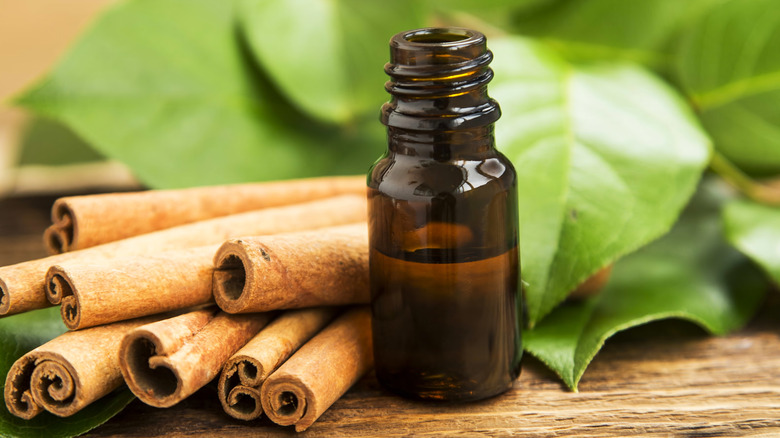 Bottle of cinnamon essential oil