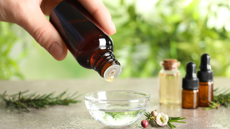 Person pouring tea tree oil into bowl