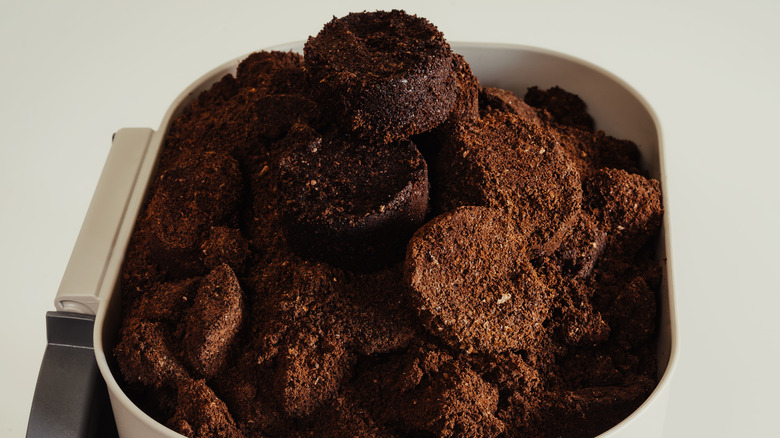 Dried coffee grounds