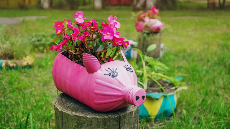 pink pig flower planter diy