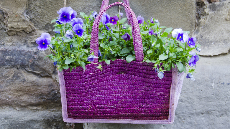 purple purse hanging planter
