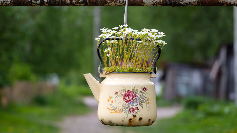 flowers in white teapot planter