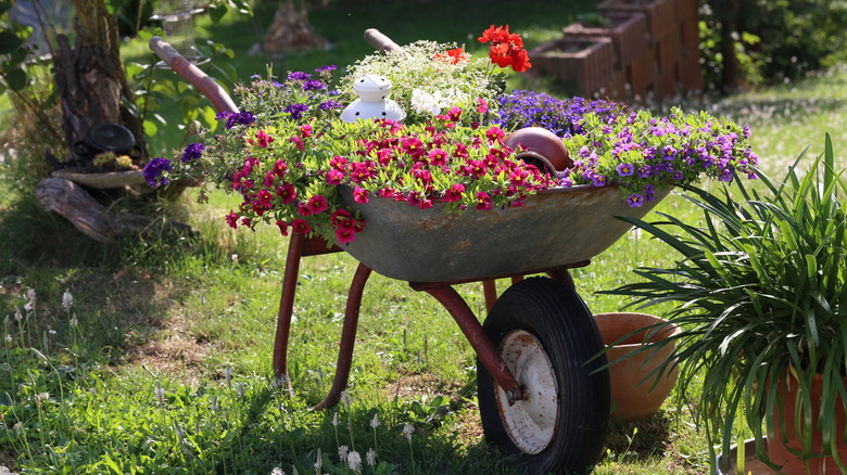 wheelbarrow filled with flowers