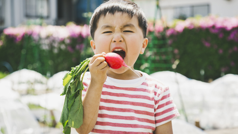 Child biting into whole radish