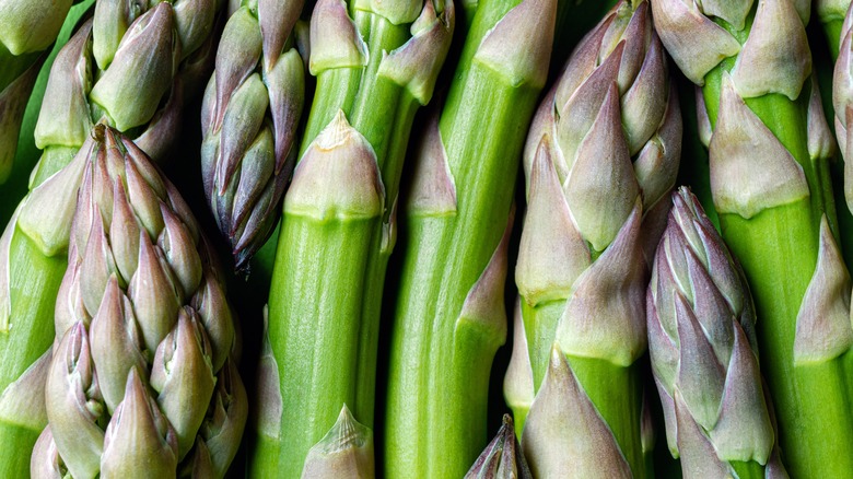 Large female asparagus spears