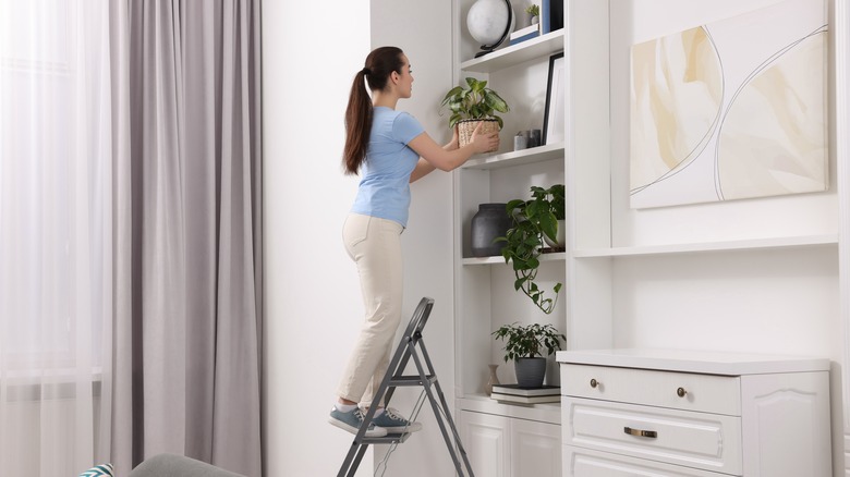 woman placing houseplants on high shelf