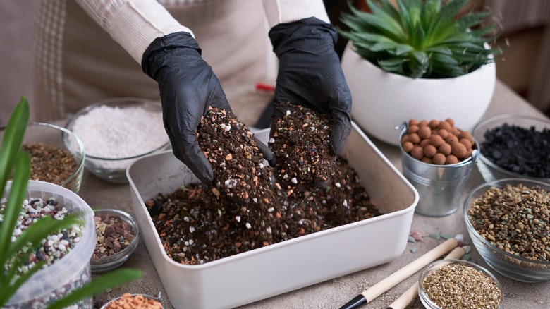 woman mixing fertilizer with soil