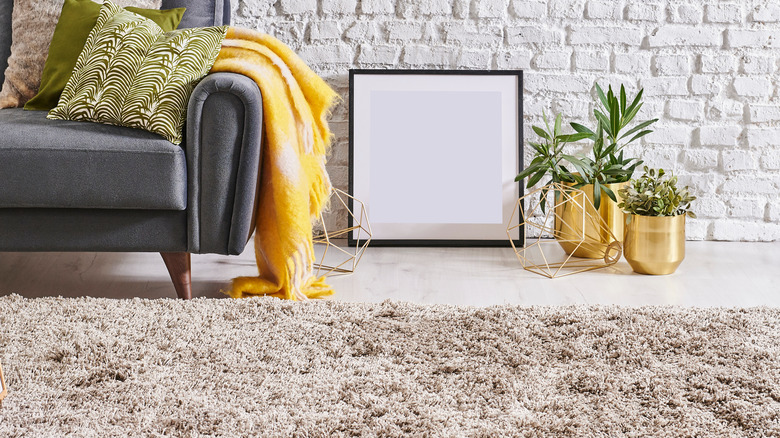 Living room with shag area rug